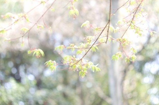 烟台衡悦广场电影院（烟台衡悦广场电影院在几楼）